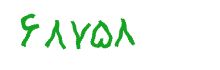 security code