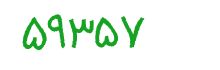 security code